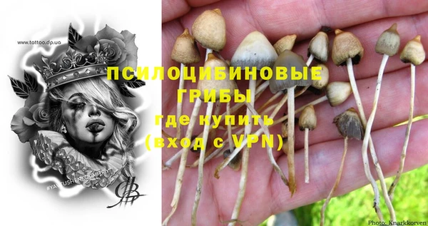 винт Елабуга